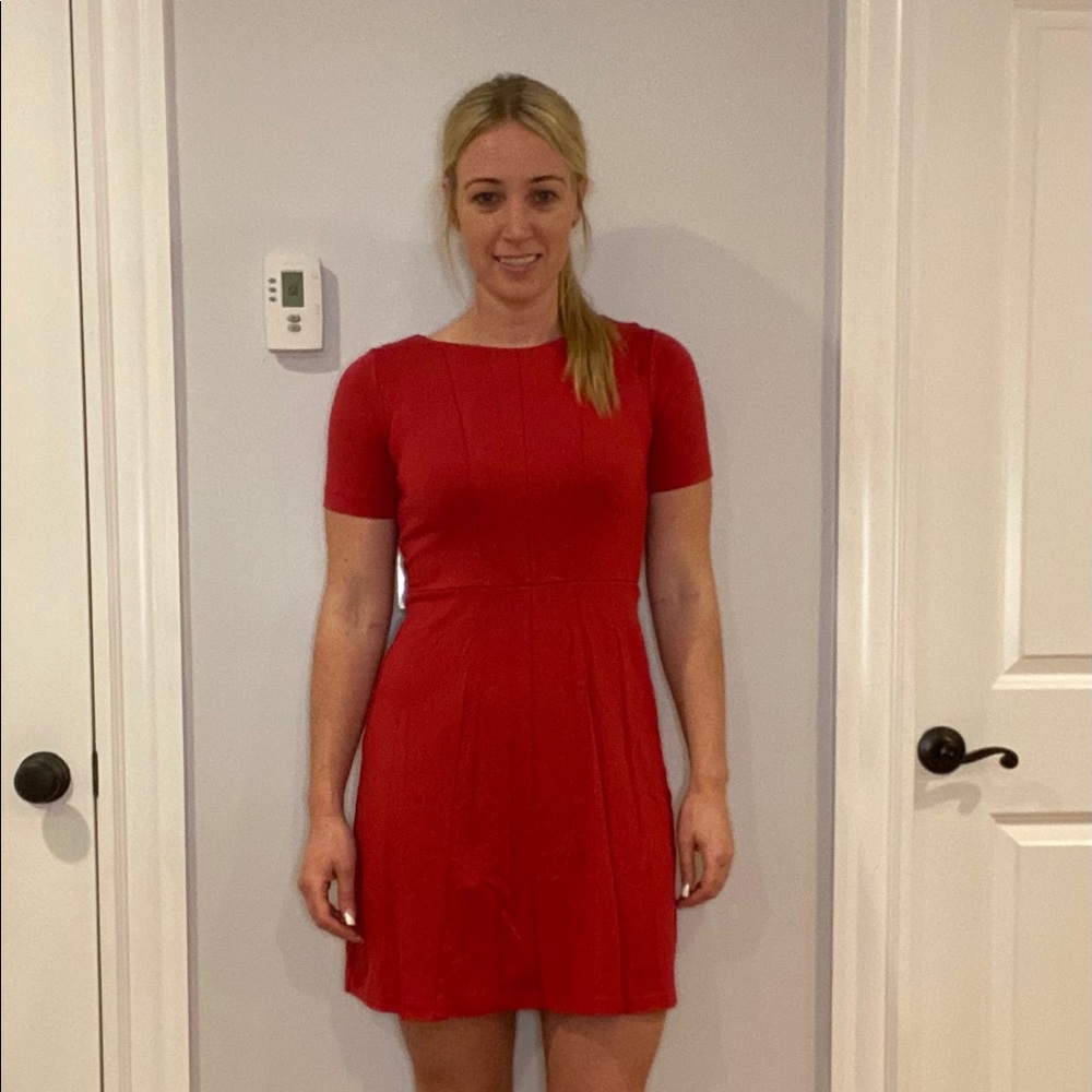 Red A-Line Ann Taylor (Petite)